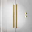 Radaway Złote drzwi 200 cm Furo Gold DWD 10108538-09-01, 10111492-01-01