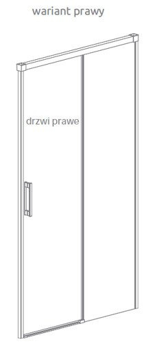 Drzwi prysznicowe Radaway Idea DWJ 100 przejrzyste prawe 387014-01-01R